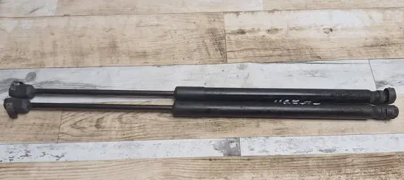 Tailgate/trunk strut/damper
