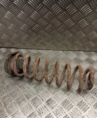 Renault Scenic II - Grand scenic II Rear coil spring