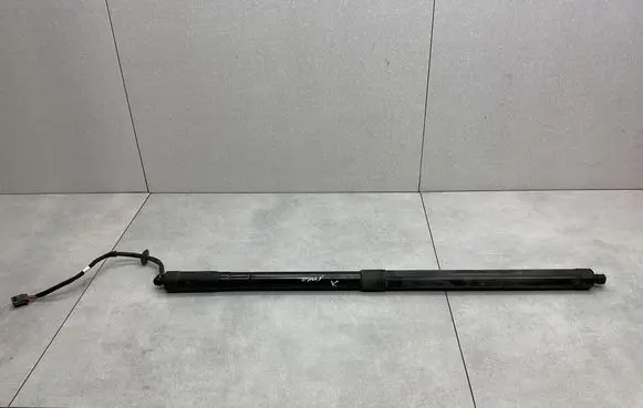Tailgate/trunk strut/damper