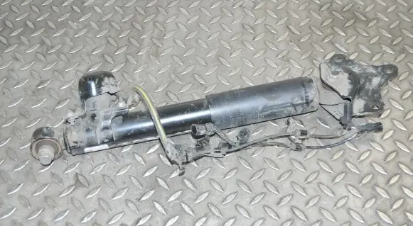 Lexus RX 450H Rear shock absorber/damper 4853048392