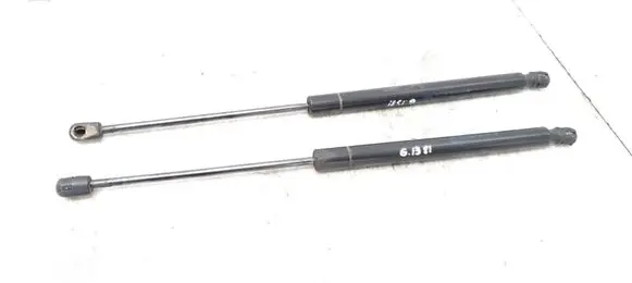 Tailgate/trunk strut/damper