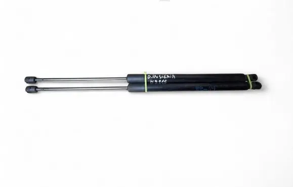 Tailgate/trunk strut/damper