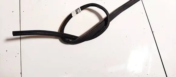 Citroen C4 I Rubber seal front coupe door 