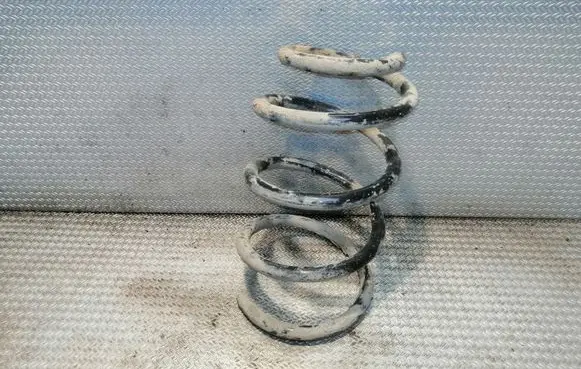 Front coil spring