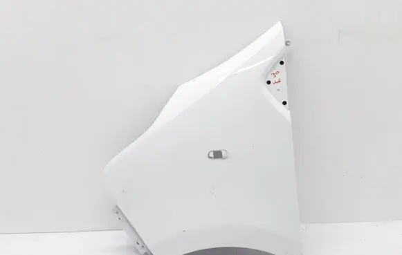 Renault Trafic III (X82) Fender 631016242R