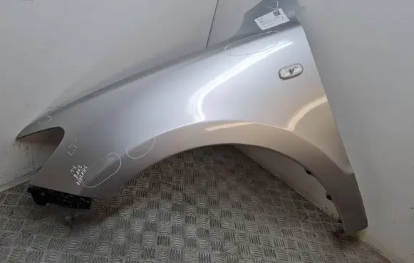 Hyundai Santa Fe Fender 