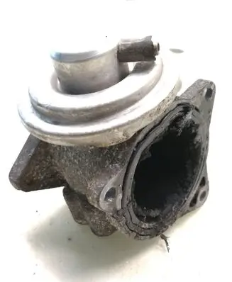 Seat Ibiza III (6L) EGR valve 038131501AN
