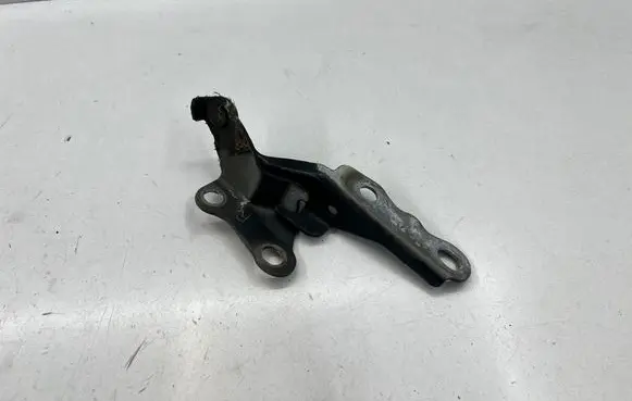 Toyota Hilux (AN10, AN20, AN30) Engine bonnet/hood hinges