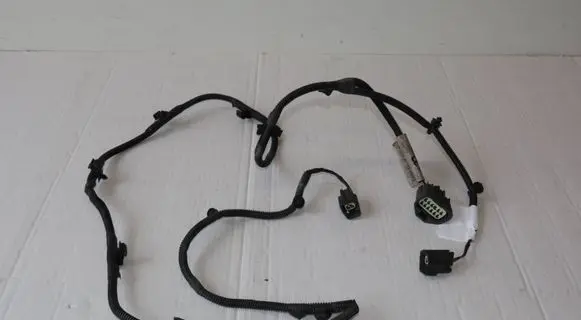 Volvo V60 Other wiring loom 31210009