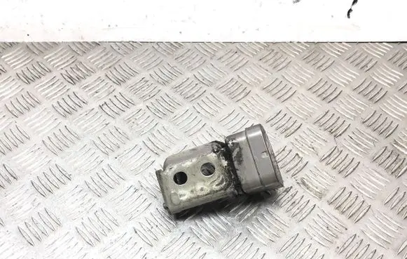 Renault Scenic II - Grand scenic II Rear door upper hinge 4404338990
