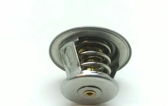 Ligier X-Pro Thermostat 9195124 811200
