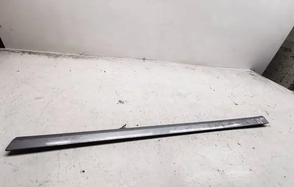 Front door trim (molding)
