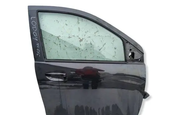 Dacia Lodgy Front door 