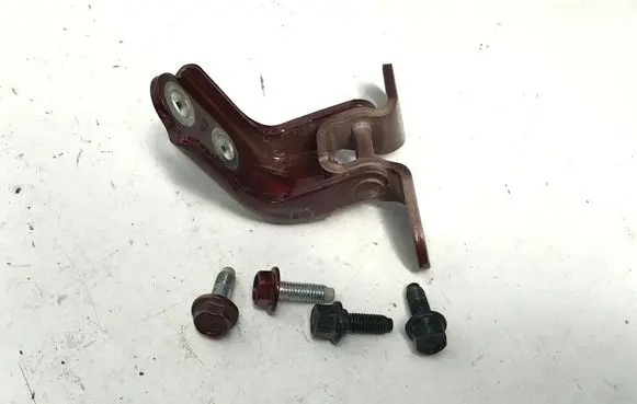 KIA EV9 Rear door lower hinge