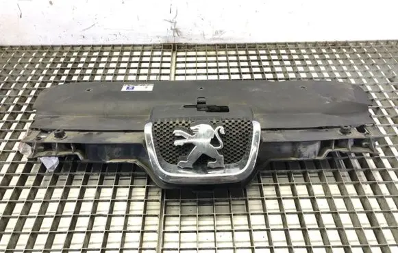 Peugeot 407 Front grill