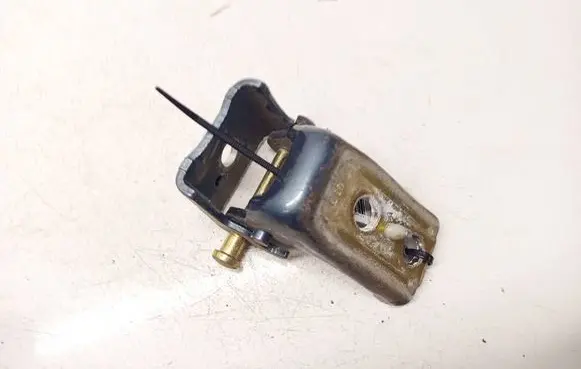 Peugeot 407 Rear door lower hinge 