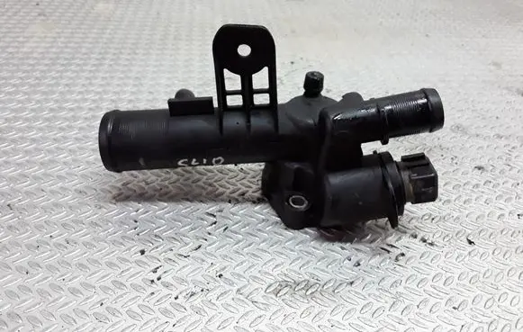 Thermostat/thermostat housing