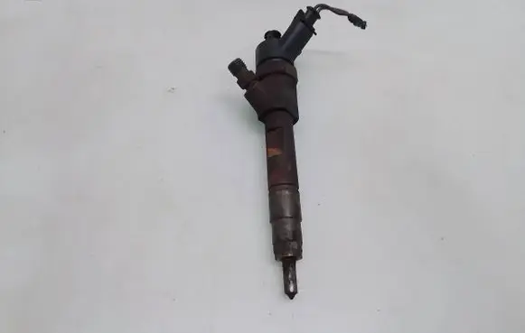 Renault Laguna II Fuel injector 0445110021