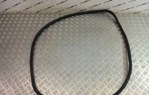 BMW X2 F39 Rear door rubber seal (on body) 7420803