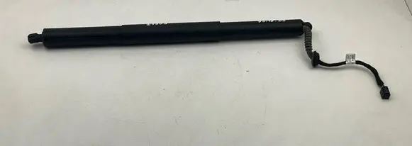 Tailgate/trunk strut/damper