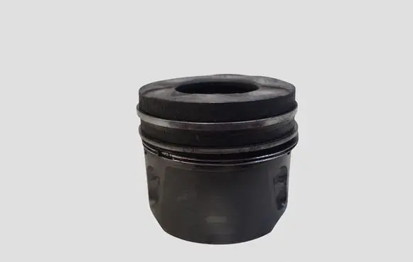 Citroen C5 Piston