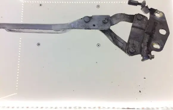 Volkswagen PASSAT B6 Engine bonnet/hood hinges 3C0823301E