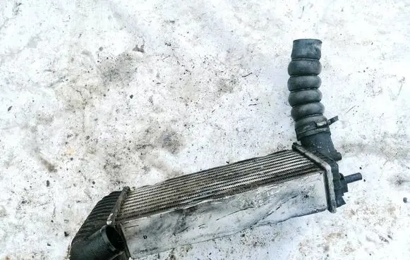 Volkswagen Phaeton Intercooler radiator