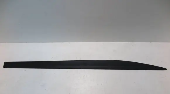 Front door trim (molding)