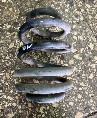 Rear coil spring