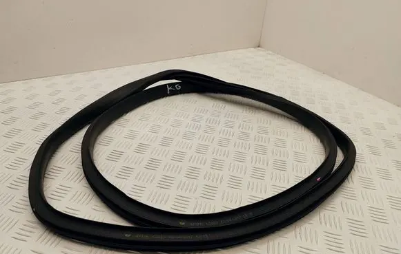 Renault Scenic IV - Grand scenic IV Rear door rubber seal (on body) 
