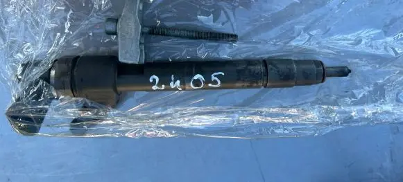 Mercedes-Benz S W220 Fuel injector A6480700287 7015110