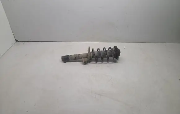 Volkswagen PASSAT B6 Front shock absorber/damper