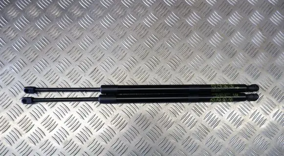 Tailgate strut