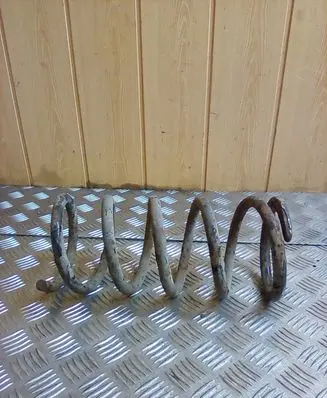 Rear coil spring