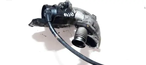 Citroen Xsara Picasso Throttle valve