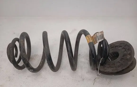 Opel Ampera Rear coil spring 22810673