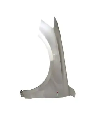 Fender