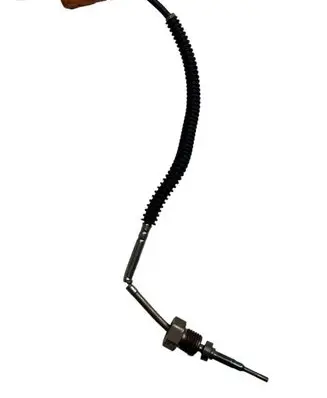Exhaust gas temperature sensor