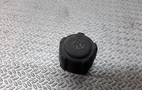 Renault Espace - Grand espace IV Coolant expansion tank/reservoir cap 