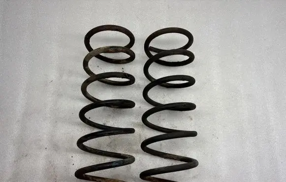 Rear coil spring
