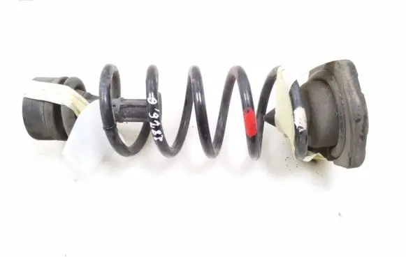 Nissan Qashqai Rear coil spring