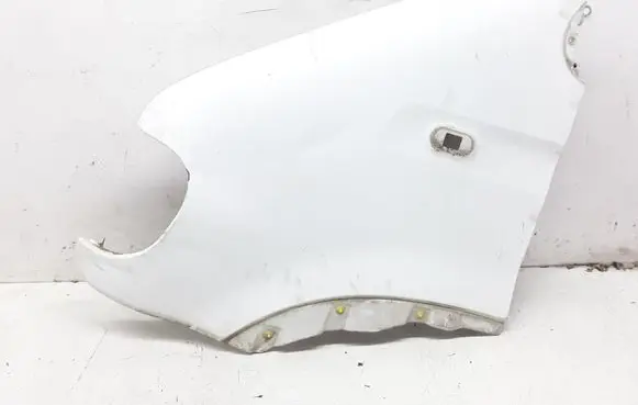 Renault Master II Fender