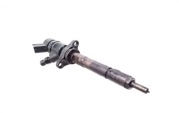 Peugeot Partner Fuel injector 0445110239