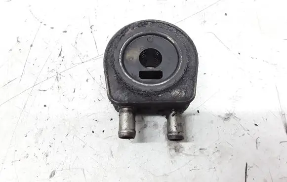 Renault Laguna II Oil filter mounting bracket