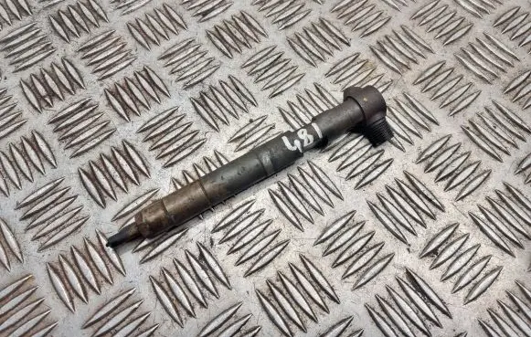 Mercedes-Benz Sprinter W906 Fuel injector A65107005s7