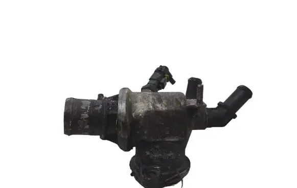 Thermostat/thermostat housing