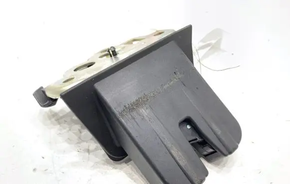 Audi Q5 SQ5 Tailgate exterior lock 8R0827505