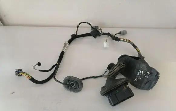 Front door wiring loom