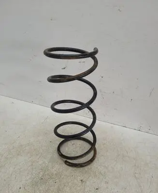 Front coil spring
