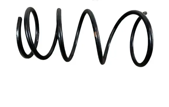 Front coil spring